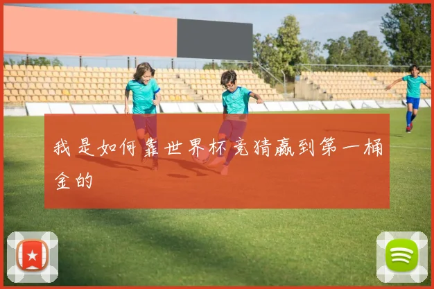 我是如何靠世界杯竞猜赢到第一桶金的